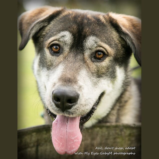 Photo of Rocco