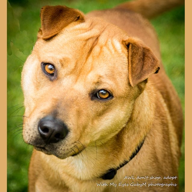 Photo of Solly