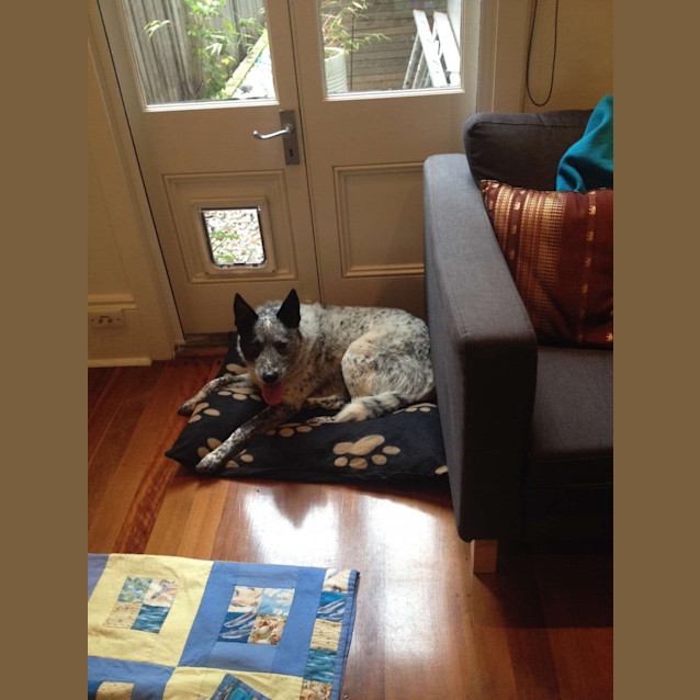 Photo of Patch