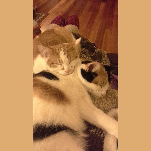 Photo of Fergus & His Mum Sally