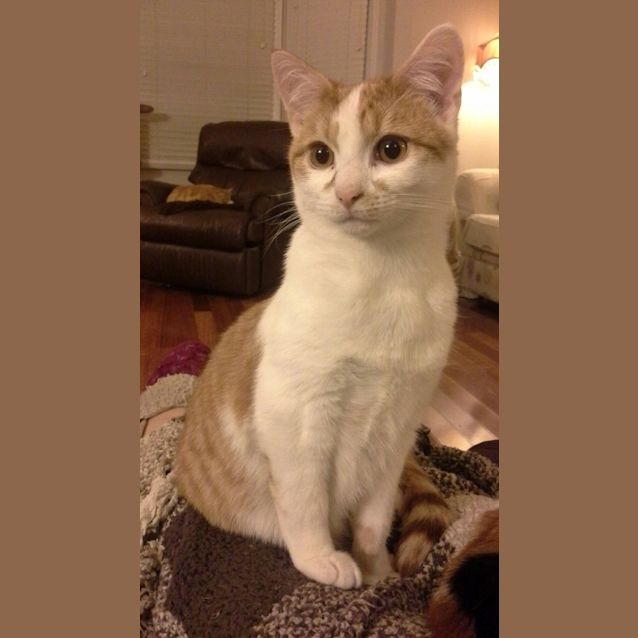 Photo of Fergus & His Mum Sally