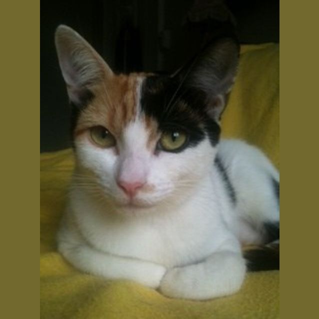 Photo of Fergus & His Mum Sally