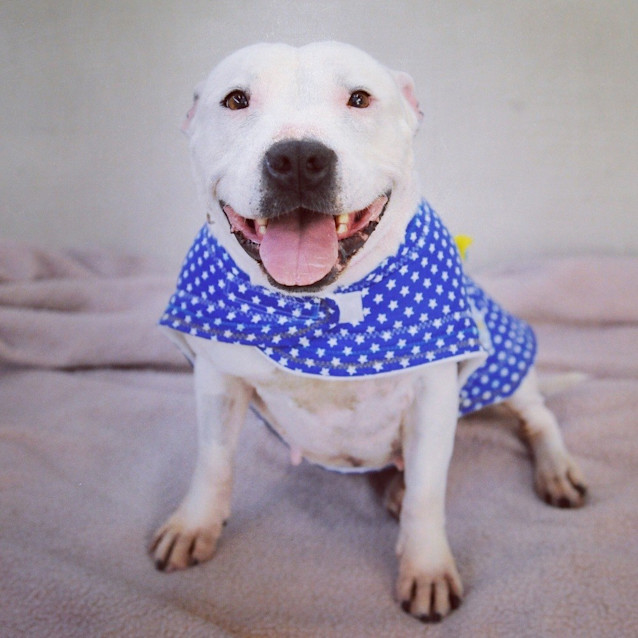Photo of Molly