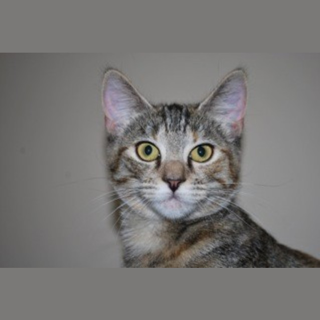 Photo of Sasha