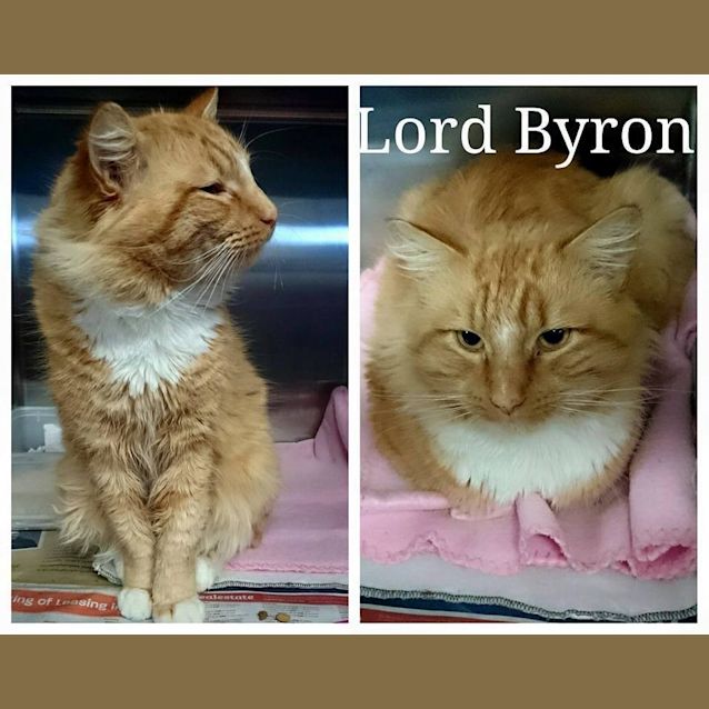 Photo of Lord Byron