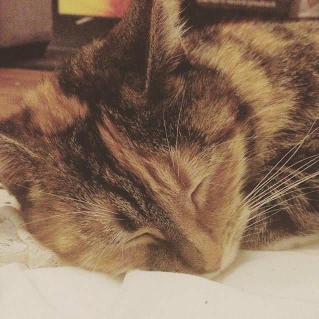 Photo of Lady Marmalade