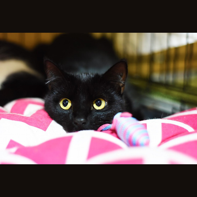 Photo of Molly & Connor