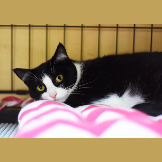 Photo of Molly & Connor