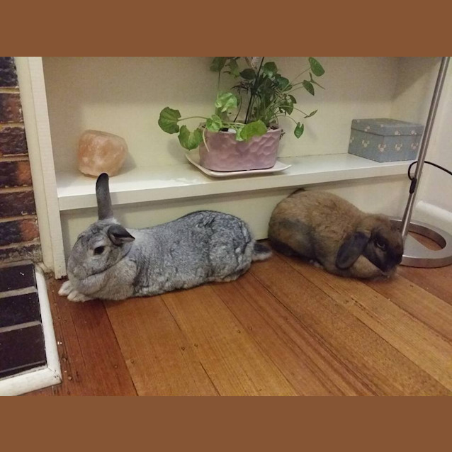 Photo of Brett And Layla 