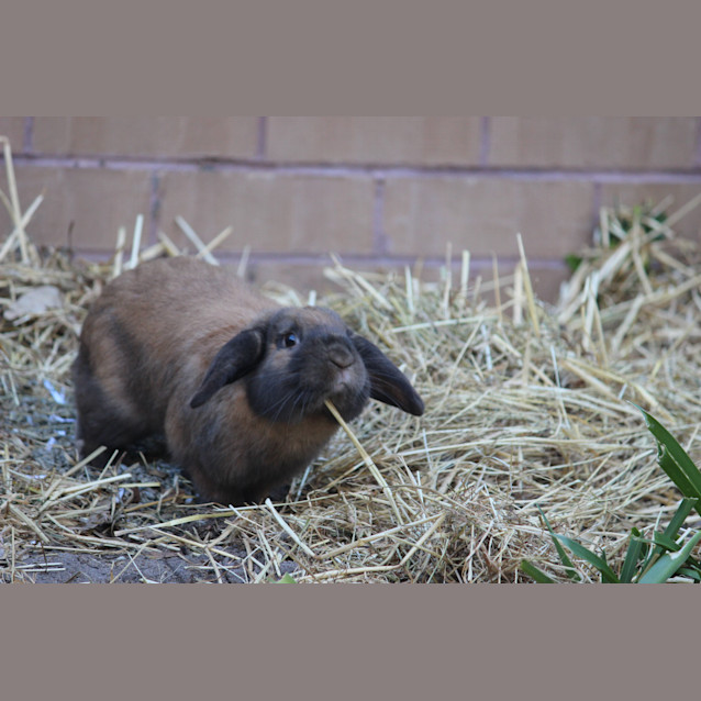 Photo of Brett And Layla 