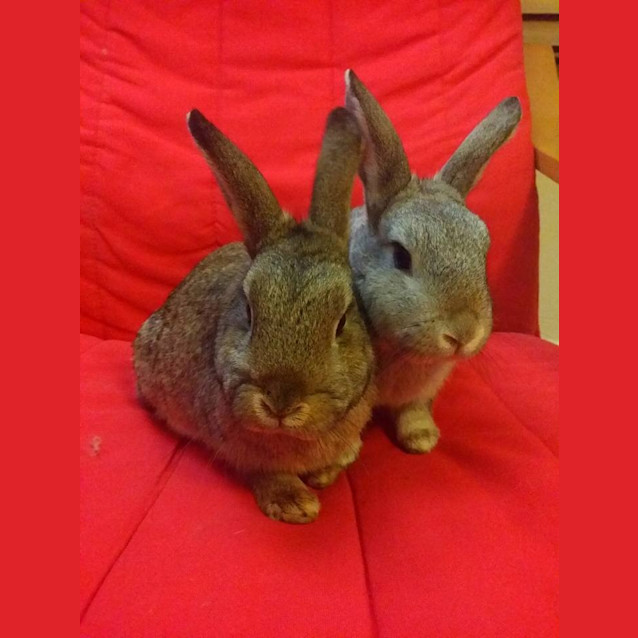 Photo of Mai And Sylar