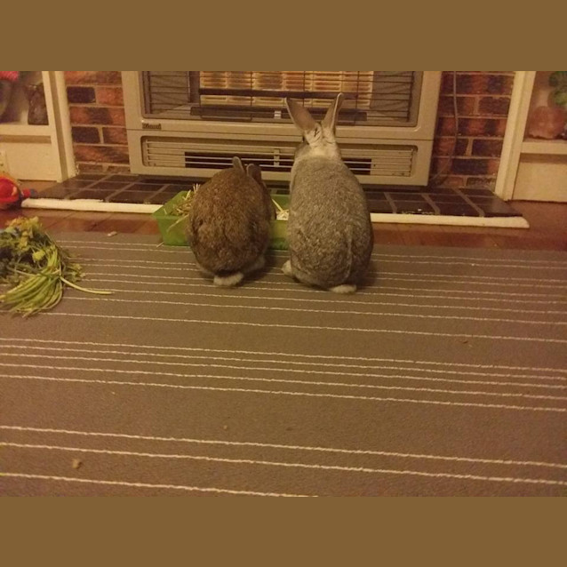 Photo of Mai And Sylar