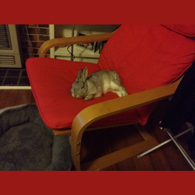 Photo of Mai And Sylar