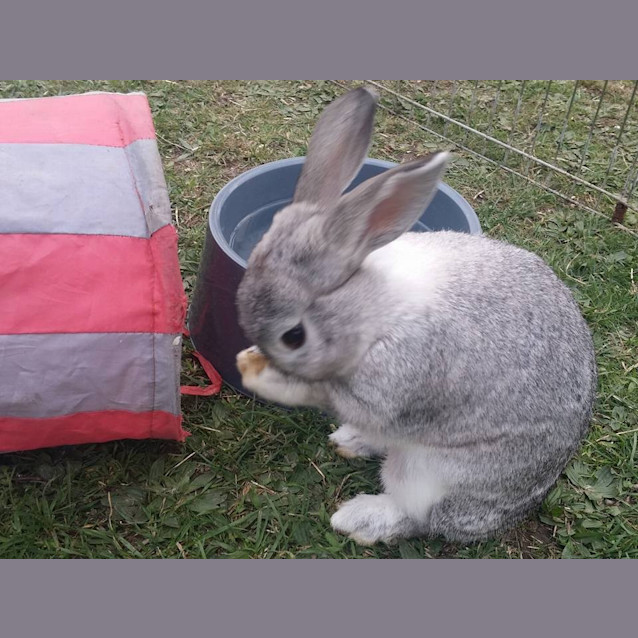 Photo of Mai And Sylar