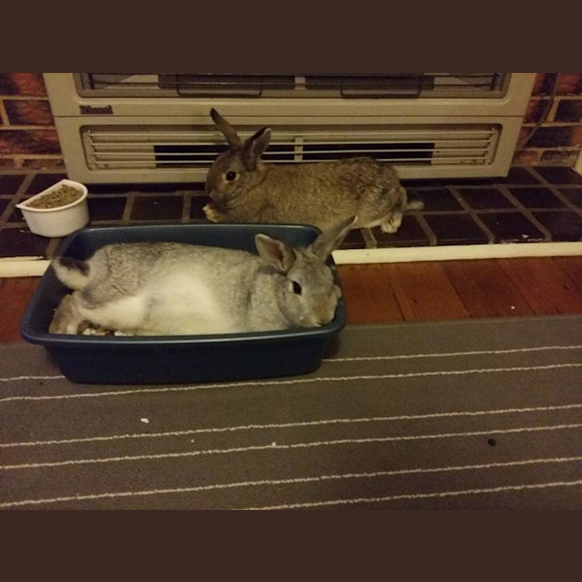 Photo of Mai And Sylar