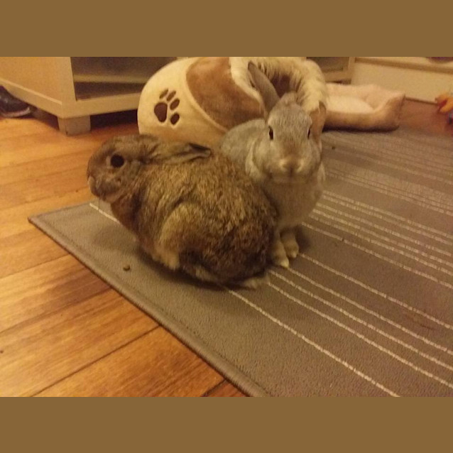 Photo of Mai And Sylar