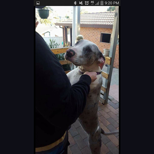 Photo of Angelina Ballerina!!