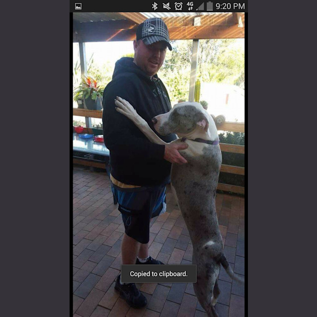 Photo of Angelina Ballerina!!