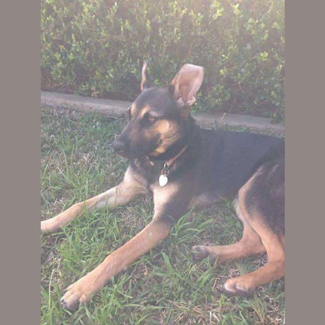 Photo of Pretty Penny 