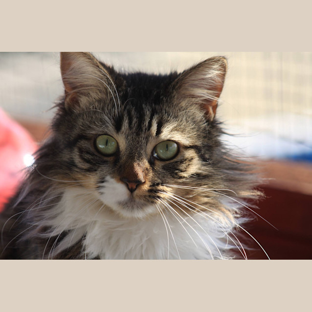 Photo of Jenny