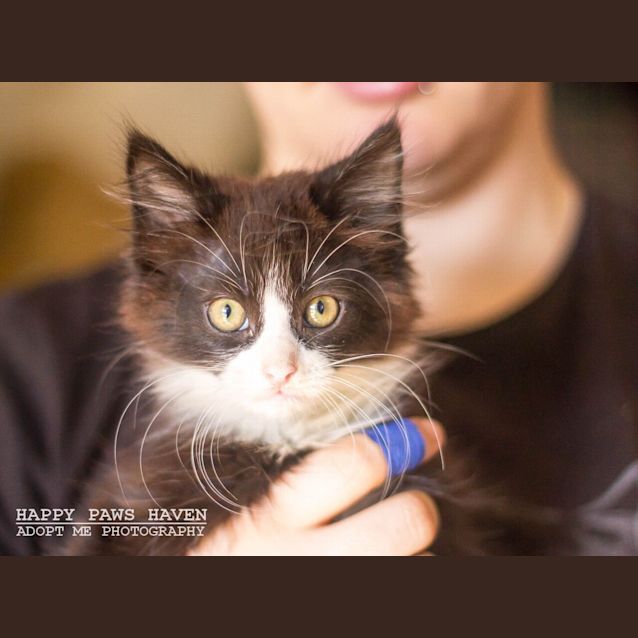 Photo of Clara