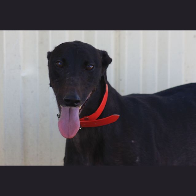 Photo of Wanda