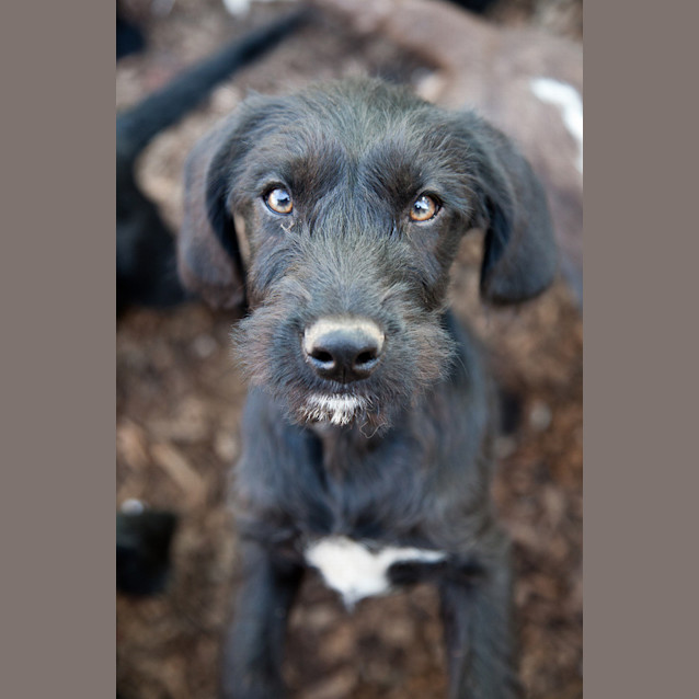 Photo of Leroy