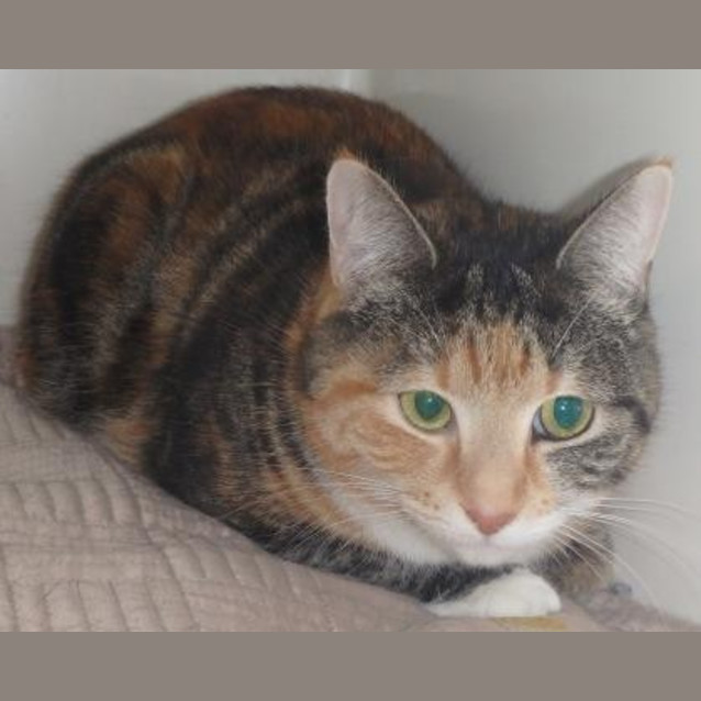 Photo of Sandy