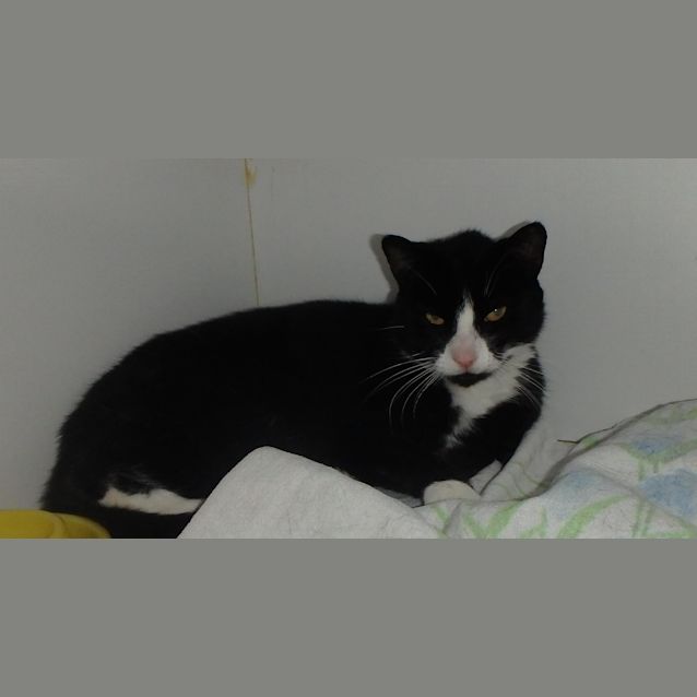 Photo of Ned