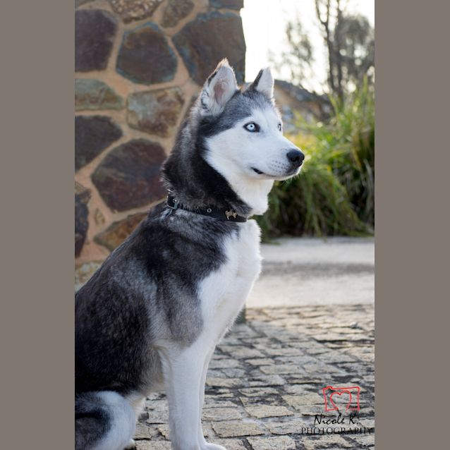 Photo of Missy