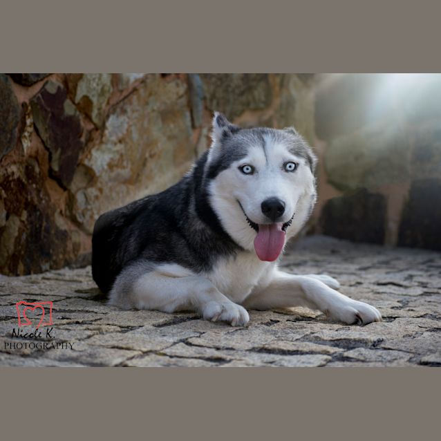 Photo of Missy