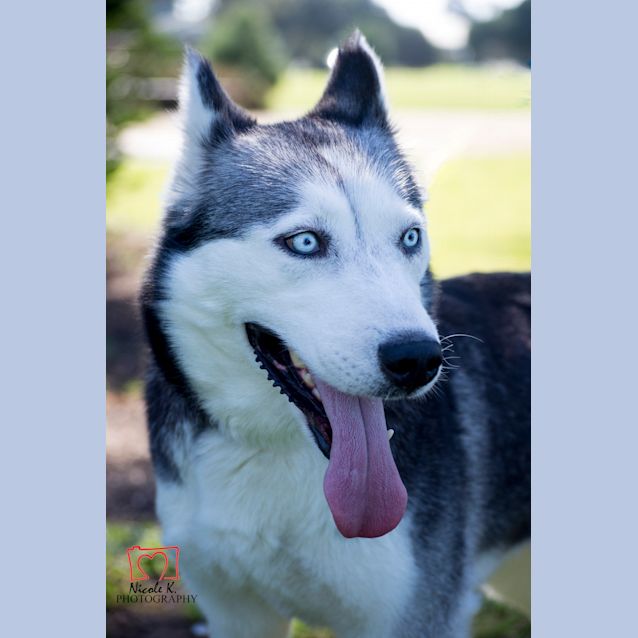 Photo of Missy