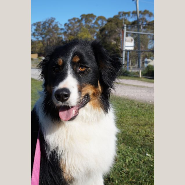Photo of Molly