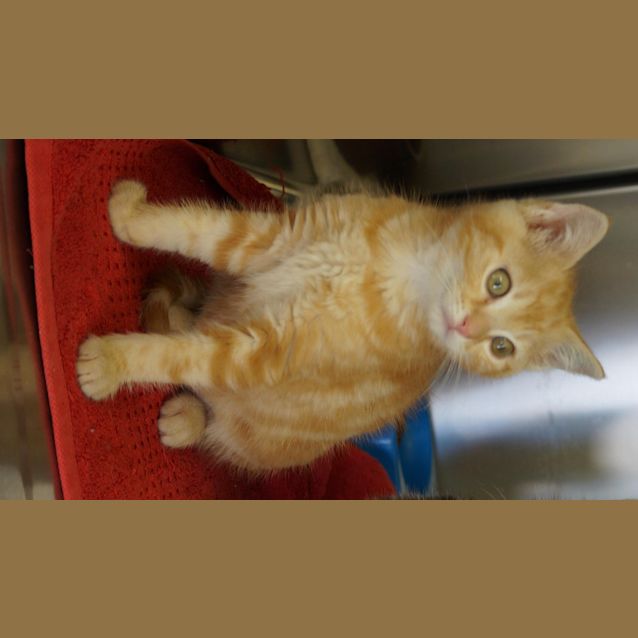 Photo of Wilbur