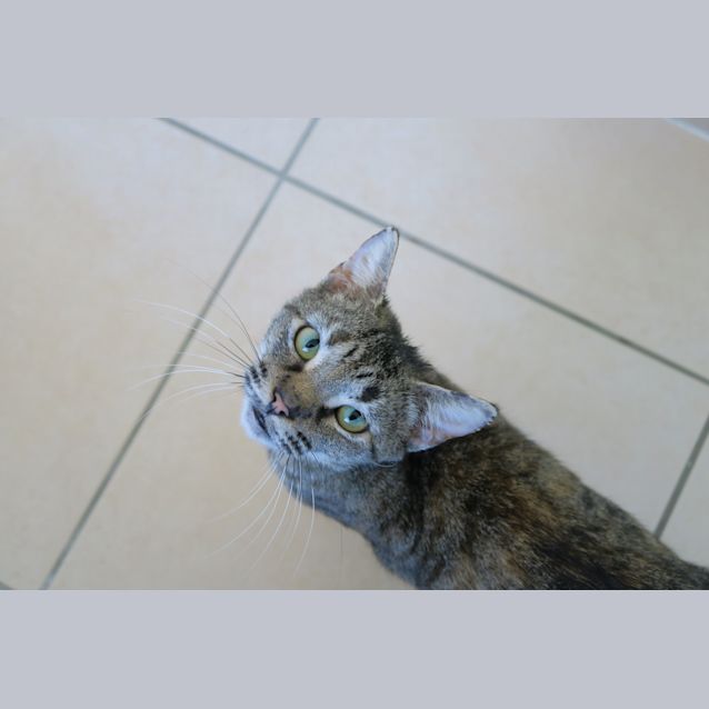 Photo of Amelia