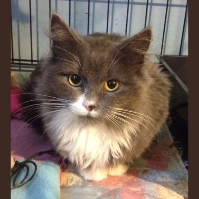 Photo of Filbert