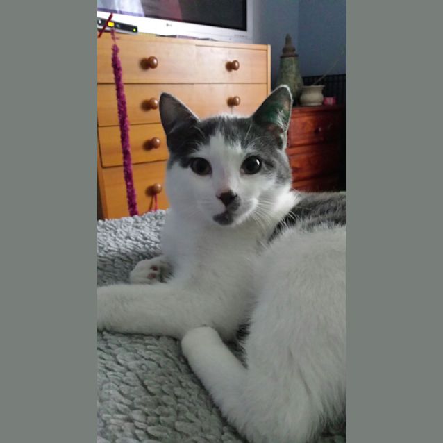 Photo of Bobby