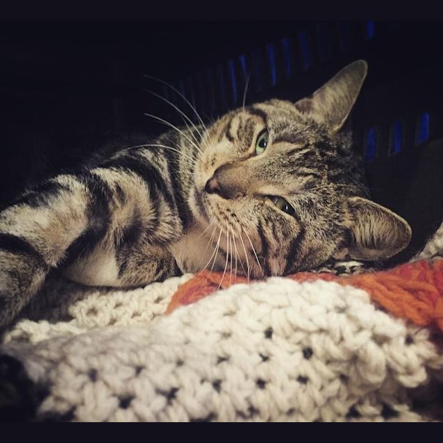 Photo of Tobias