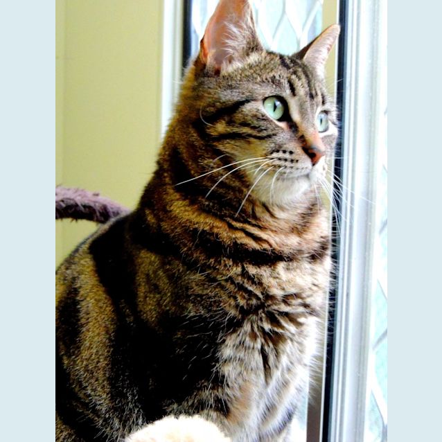 Photo of Nieve