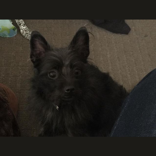 Photo of Hope (And Sheldon)