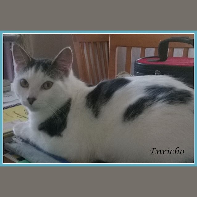 Photo of Enricho