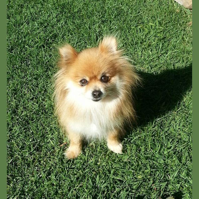 Photo of Angel