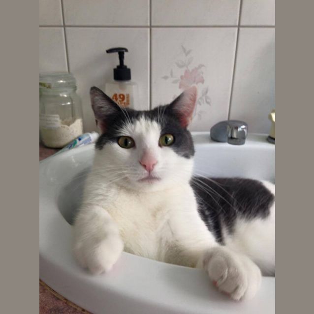 Photo of Mrs Brady (Kaz) Location Albury