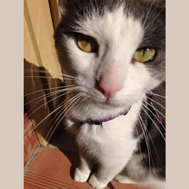 Photo of Mrs Brady (Kaz) Location Albury