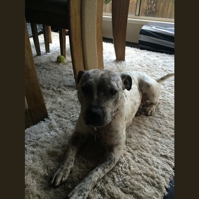 Photo of Lucy