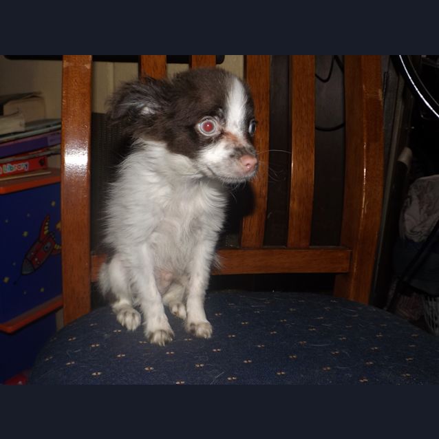 Photo of Walt