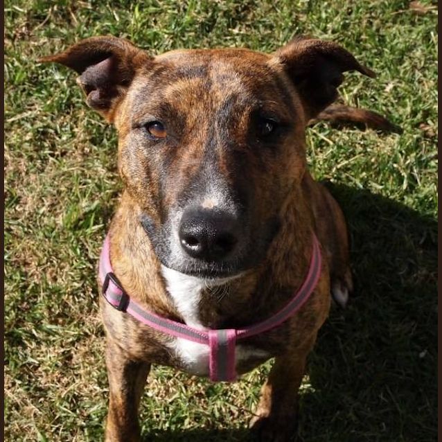 Photo of Molly