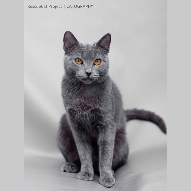 Photo of Princess   Regal She Is