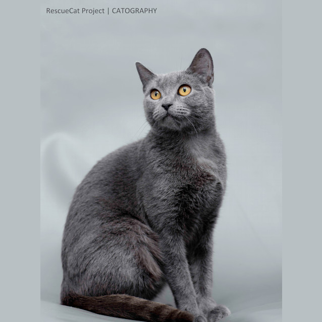 Photo of Princess   Regal She Is