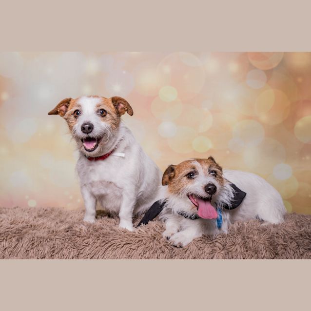 Photo of Sam 1106 & Jack 1107